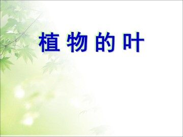 5.植物的叶