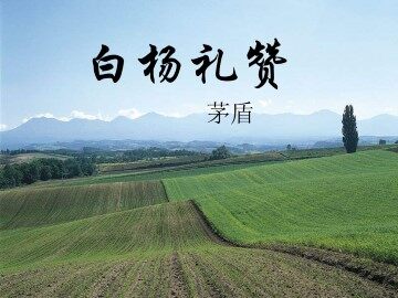 白杨礼赞_课件2