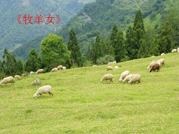 《牧羊女》_课件1