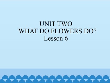 UNIT TWO  WHAT DO FLOWERS DO?-Lesson 6_课件1