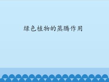 绿色植物的蒸腾作用_课件1