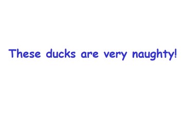 These ducks are very naughty!_课件1