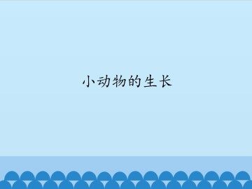 小动物的生长_课件1