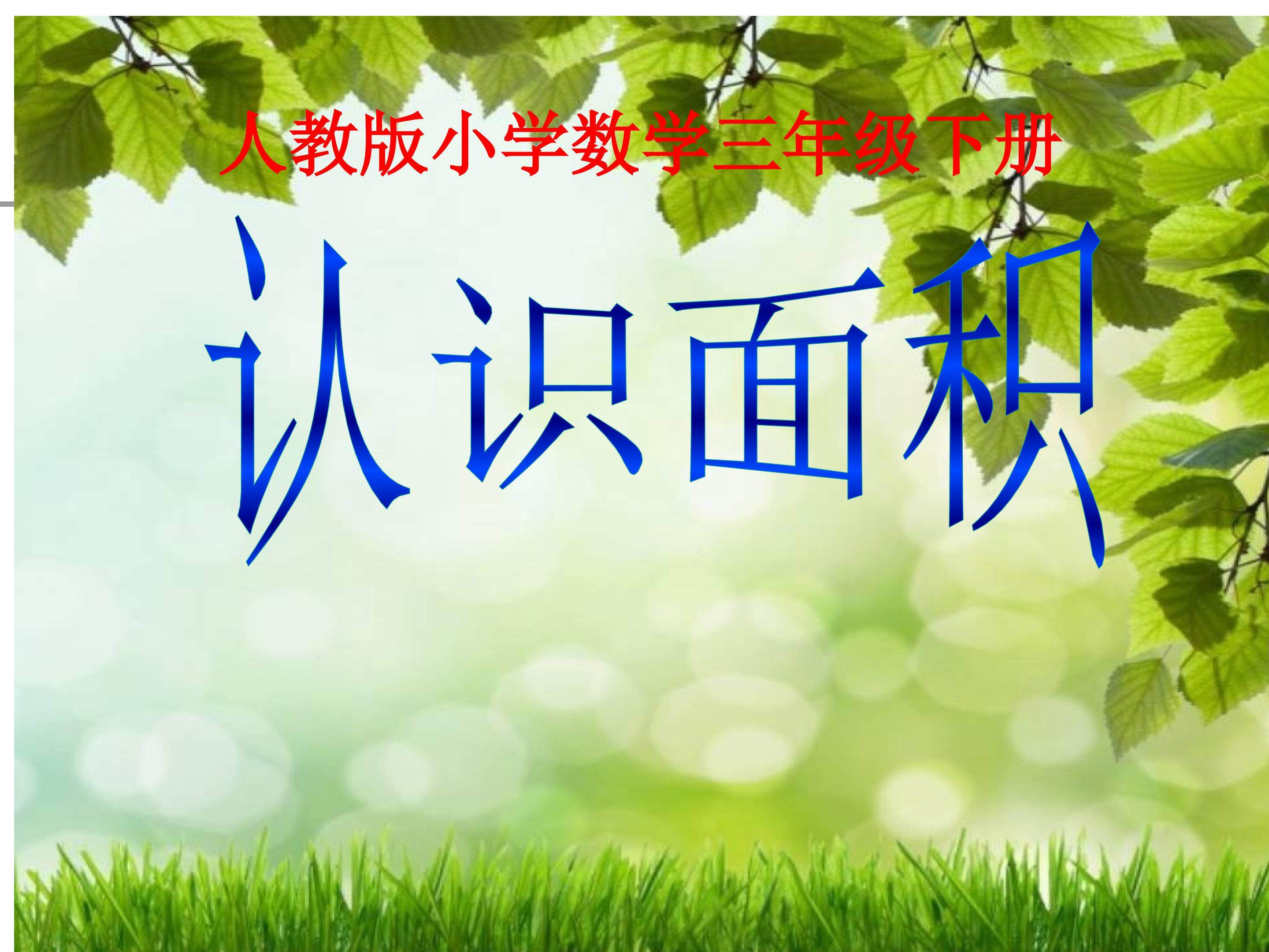 认识面积