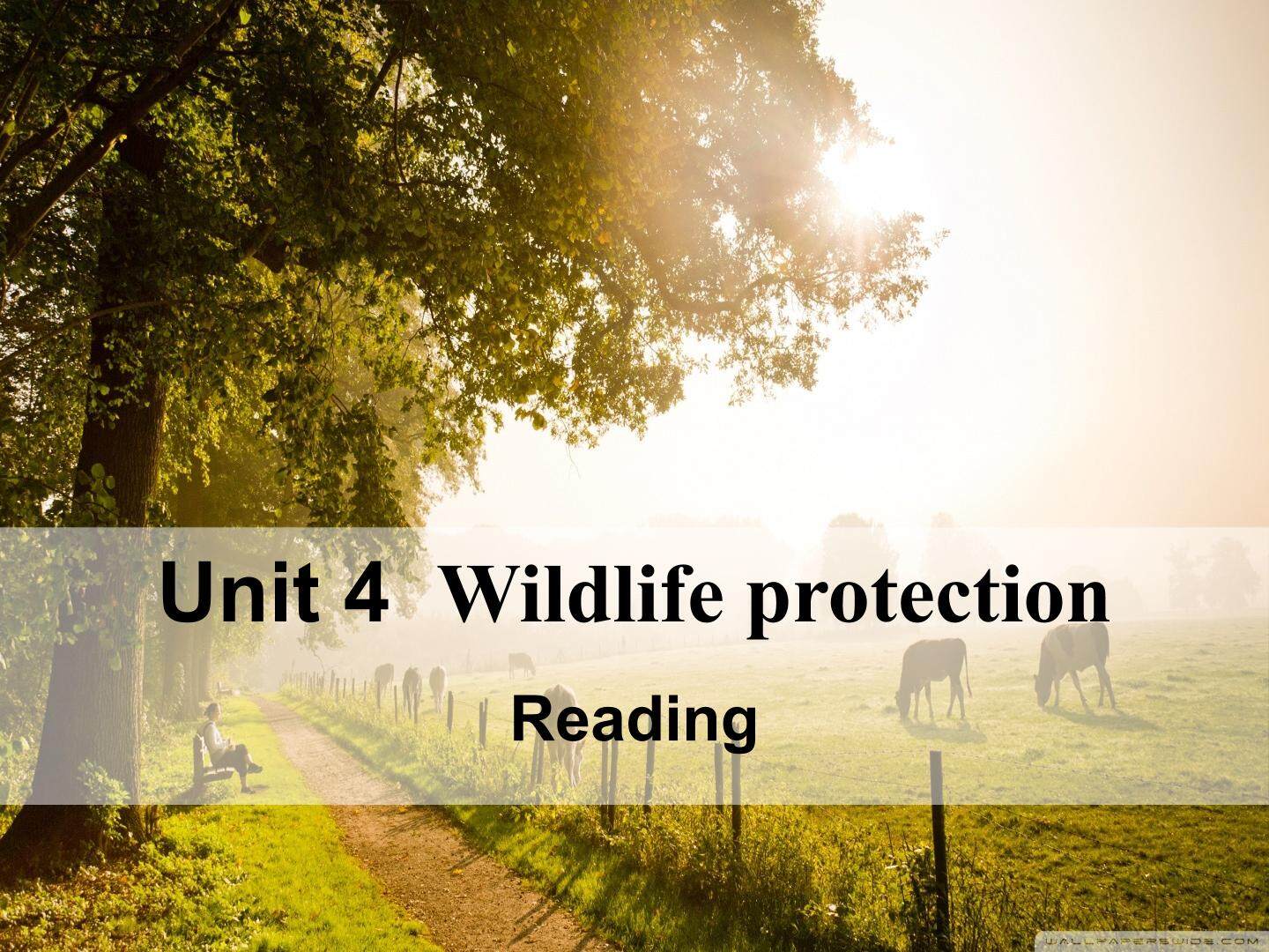 Unit 4 Wildlife protection