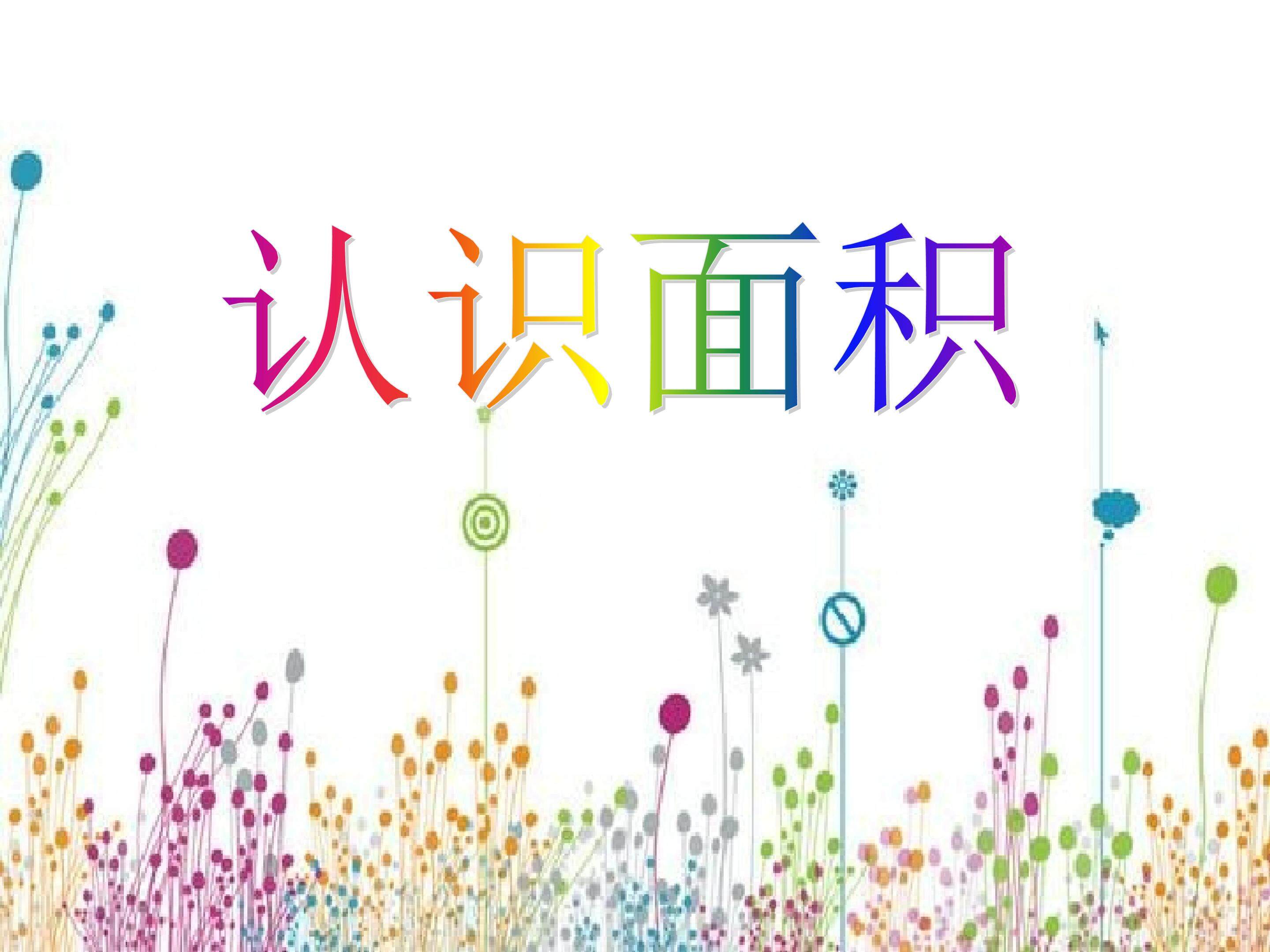 认识面积