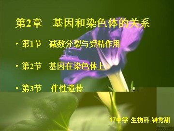 生物高中必修2第二章第一节（二）课件