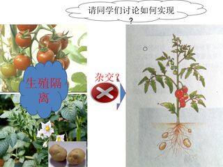 植物体细胞杂交技术