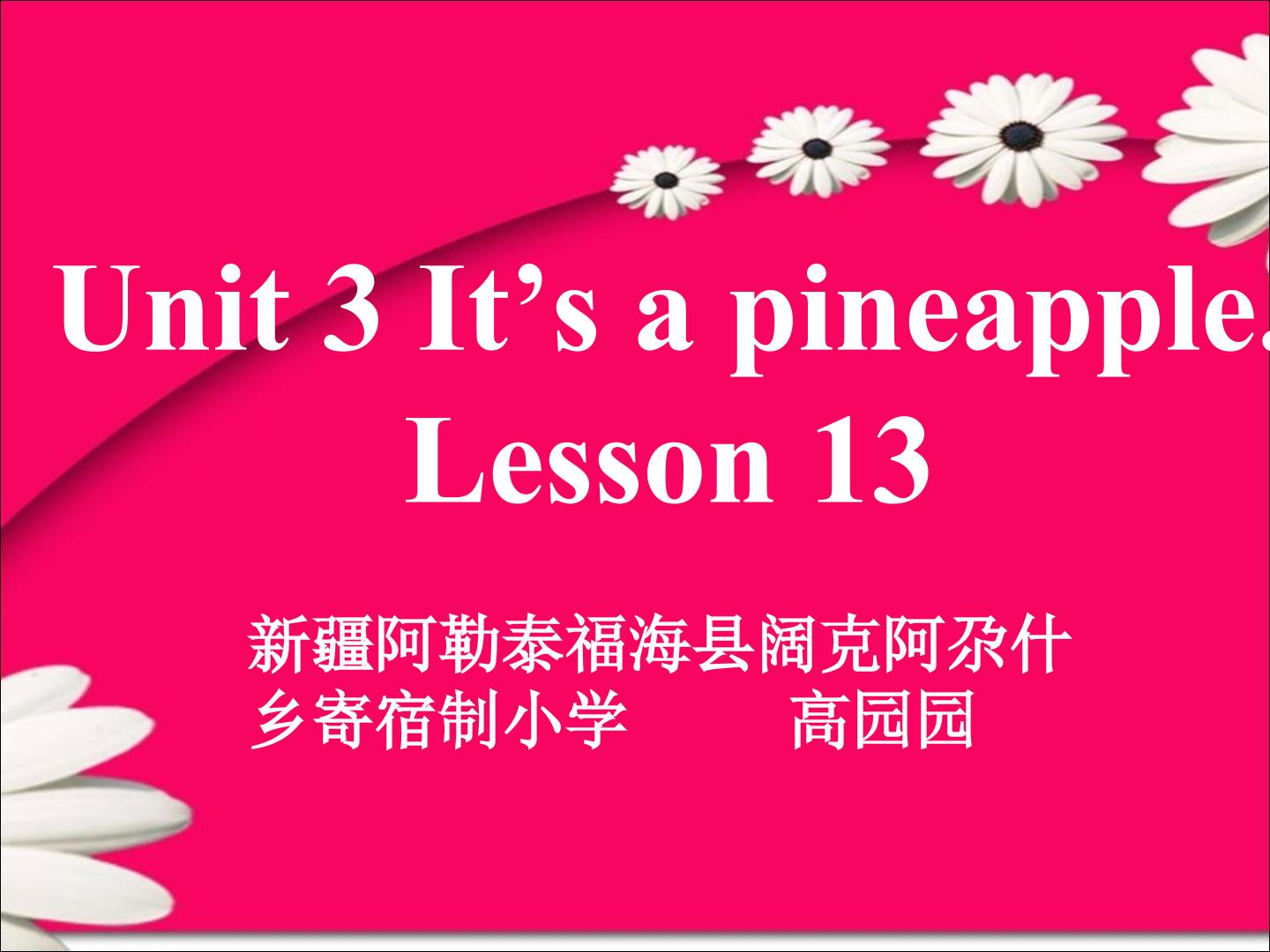 Unit 3 It's a pineapple. Lesson 13