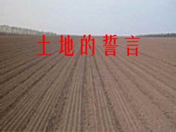 土地的誓言_课件8