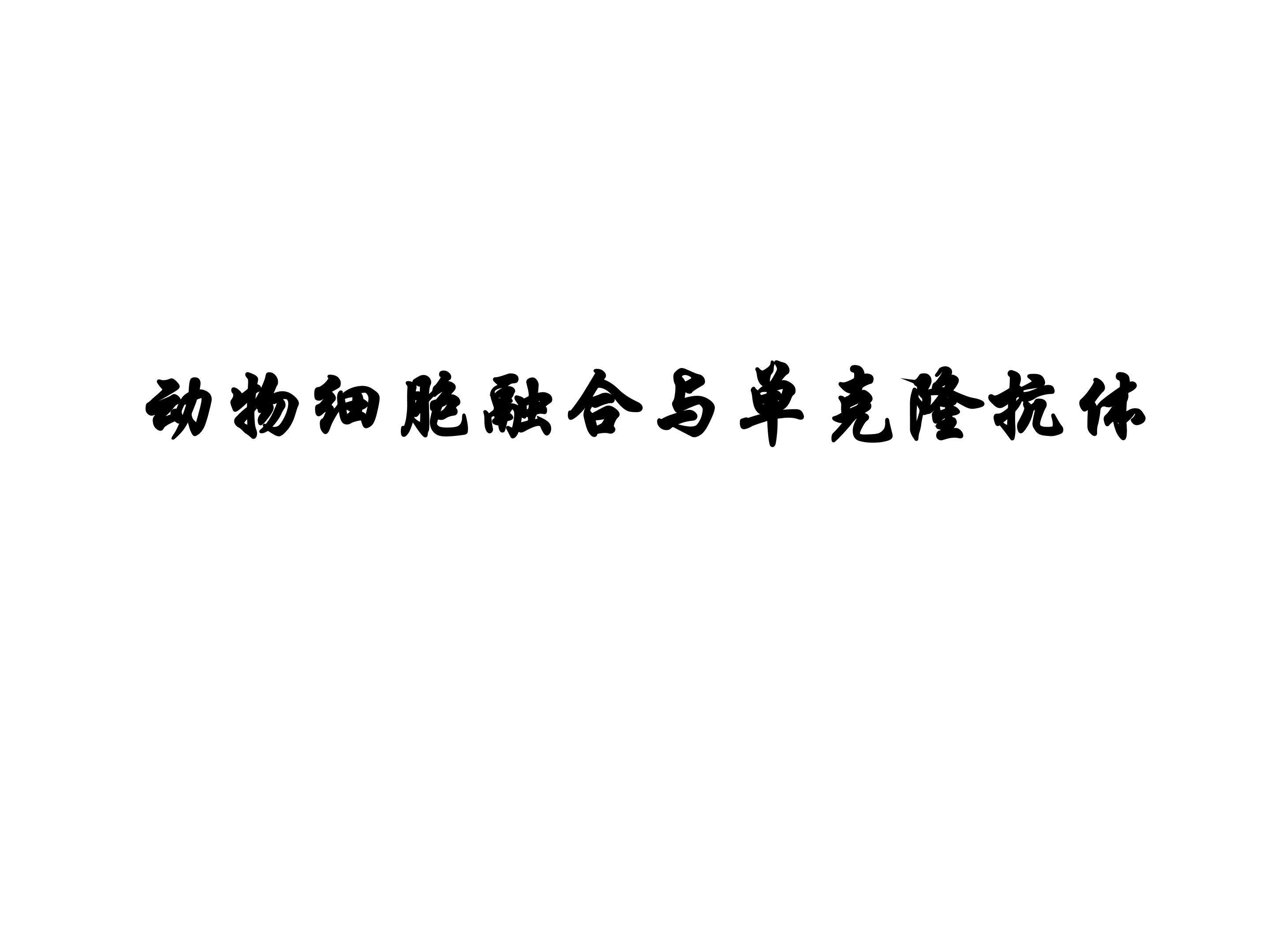 动物细胞融合与单体克隆抗体_课件1