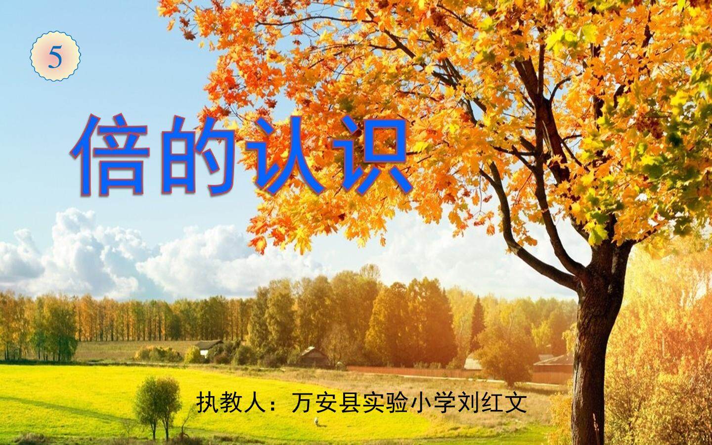 倍的认识