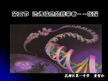 生物高中必修1第二章第三节课件4