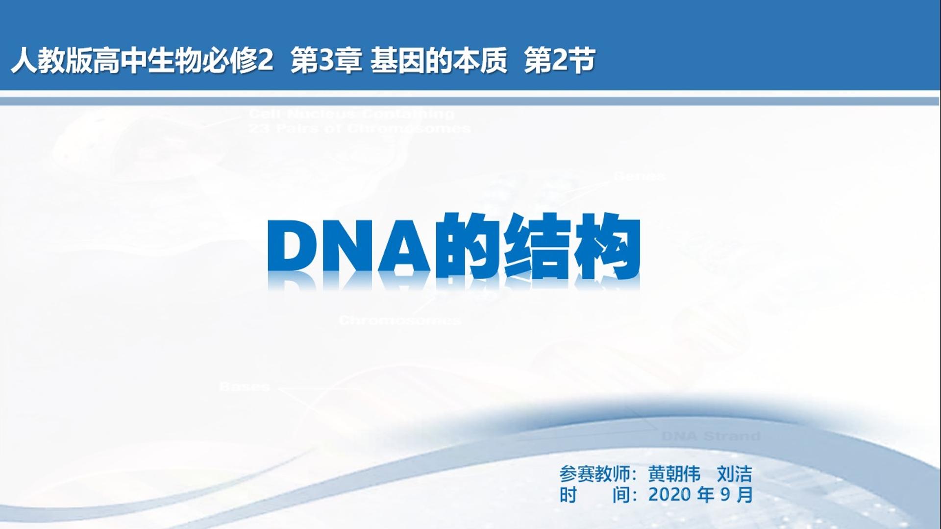 DNA的结构