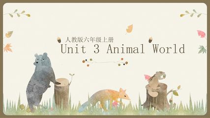 【课件】6年级上册英语人教版新起点Unit 3 Lesson 1 02