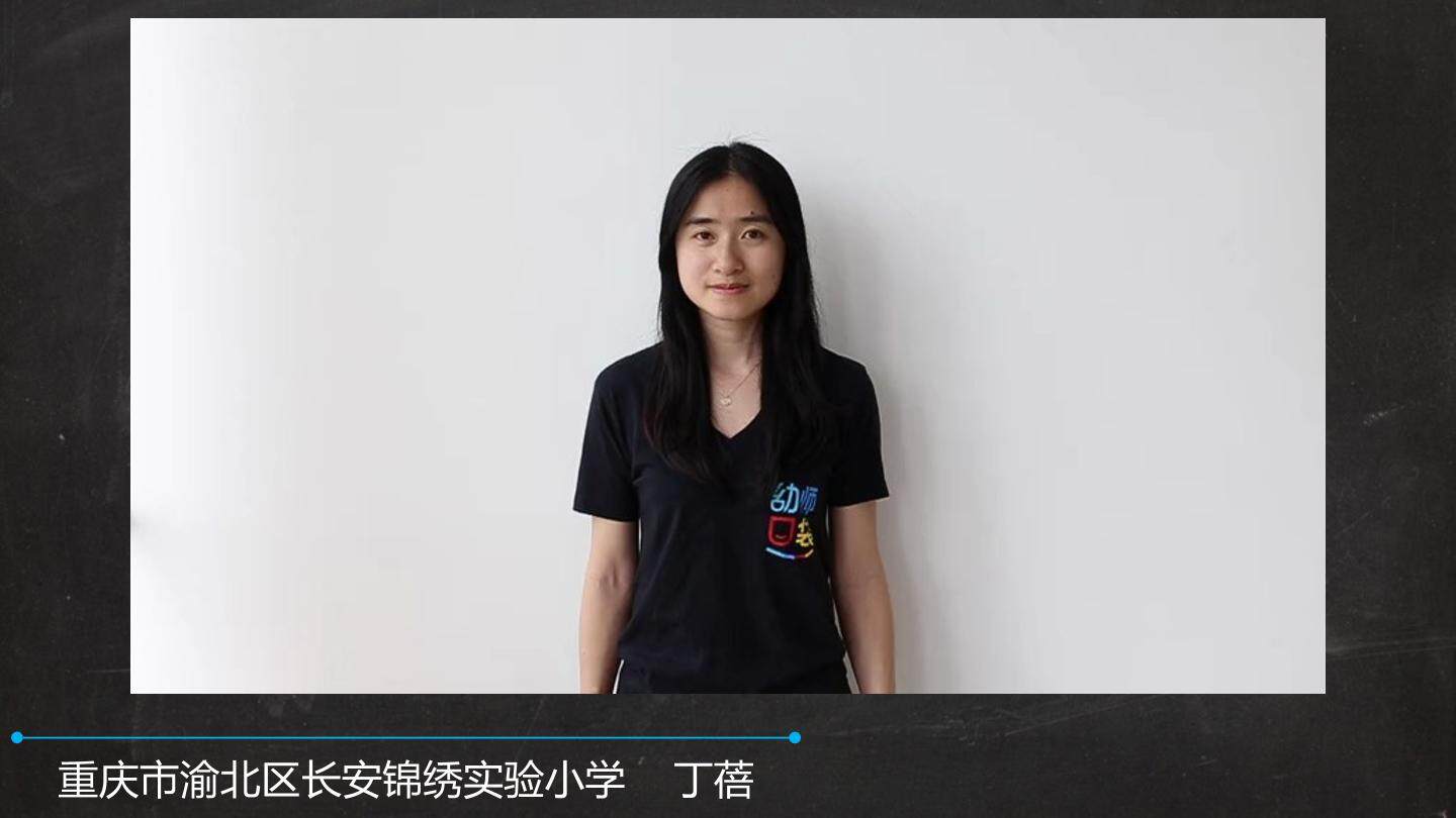 影子大王ppt