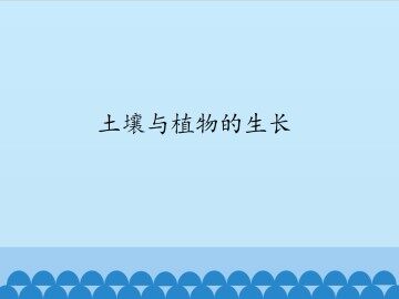 土壤与植物的生长_课件1