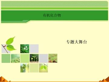 归纳与整理_课件5