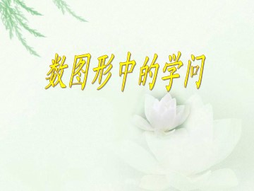 数图形的学问_课件1