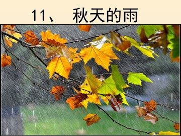 11 秋天的雨