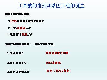 工具酶的发现和基因工程的诞生_课件1