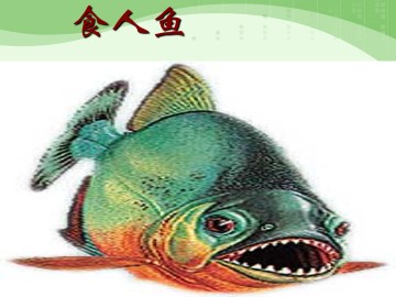 生物入侵者_课件3