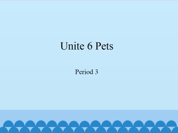 Unit 6 Pets（Period 3）_课件1