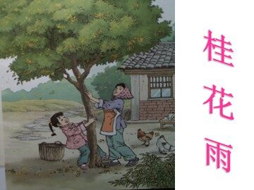 4.桂花雨
