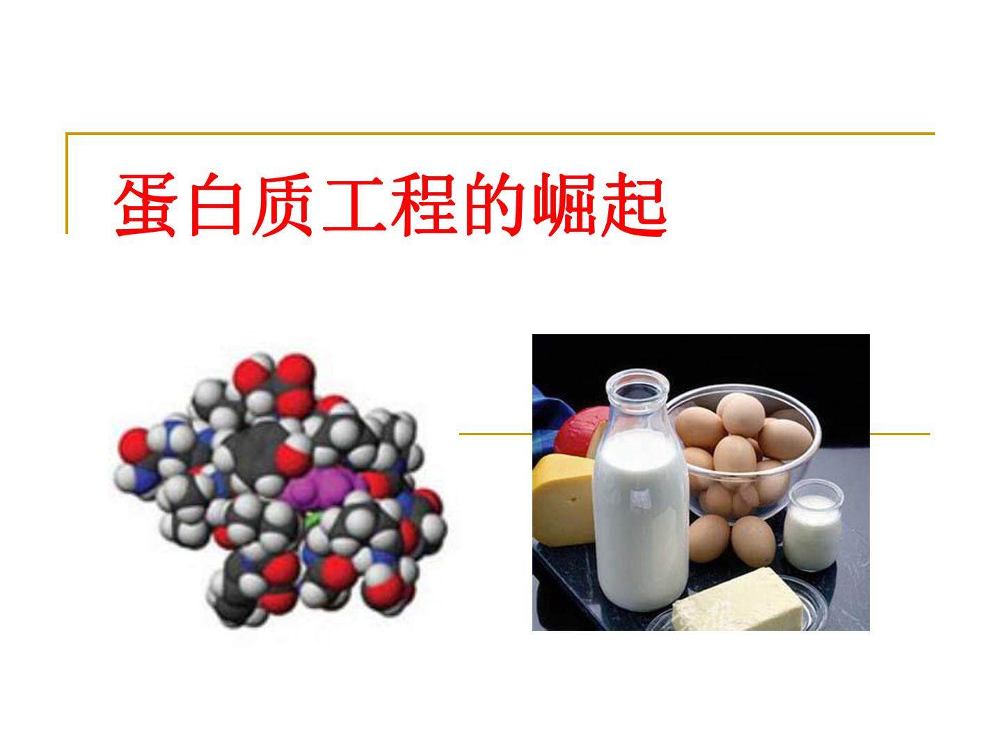 蛋白质工程的崛起_课件1
