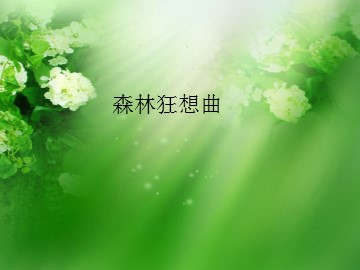 森林狂想曲_课件1