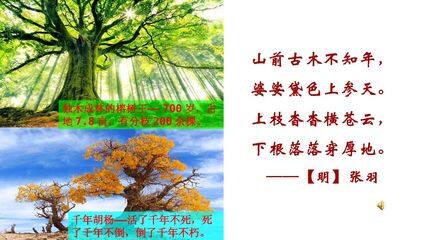 植物茎的输导功能