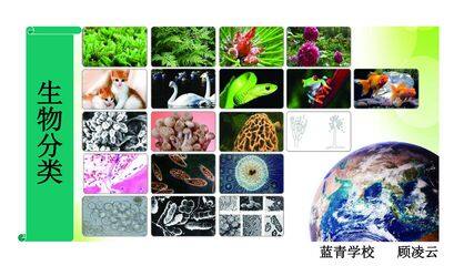 生物的分类