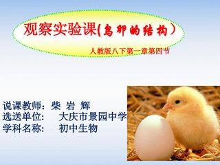 实验观察课