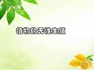 植物的无性生殖