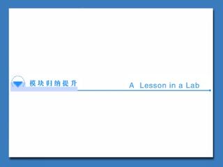 A Lesson in a Lab_课件10
