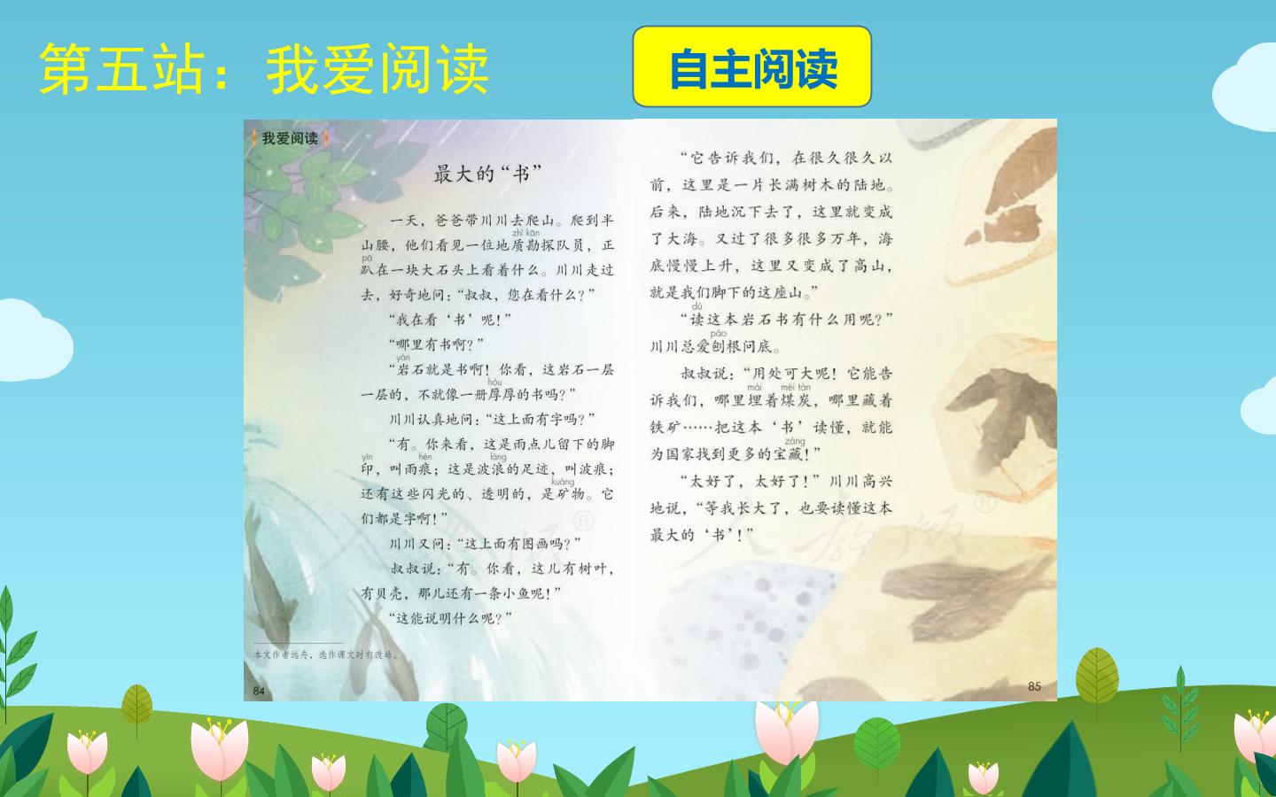 19.jpg