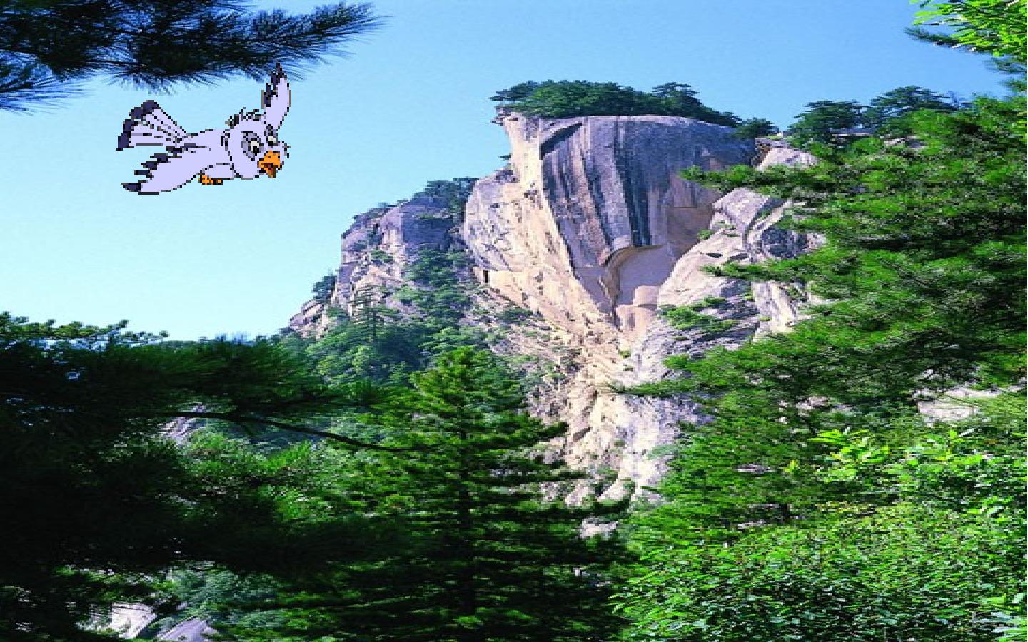16.jpg