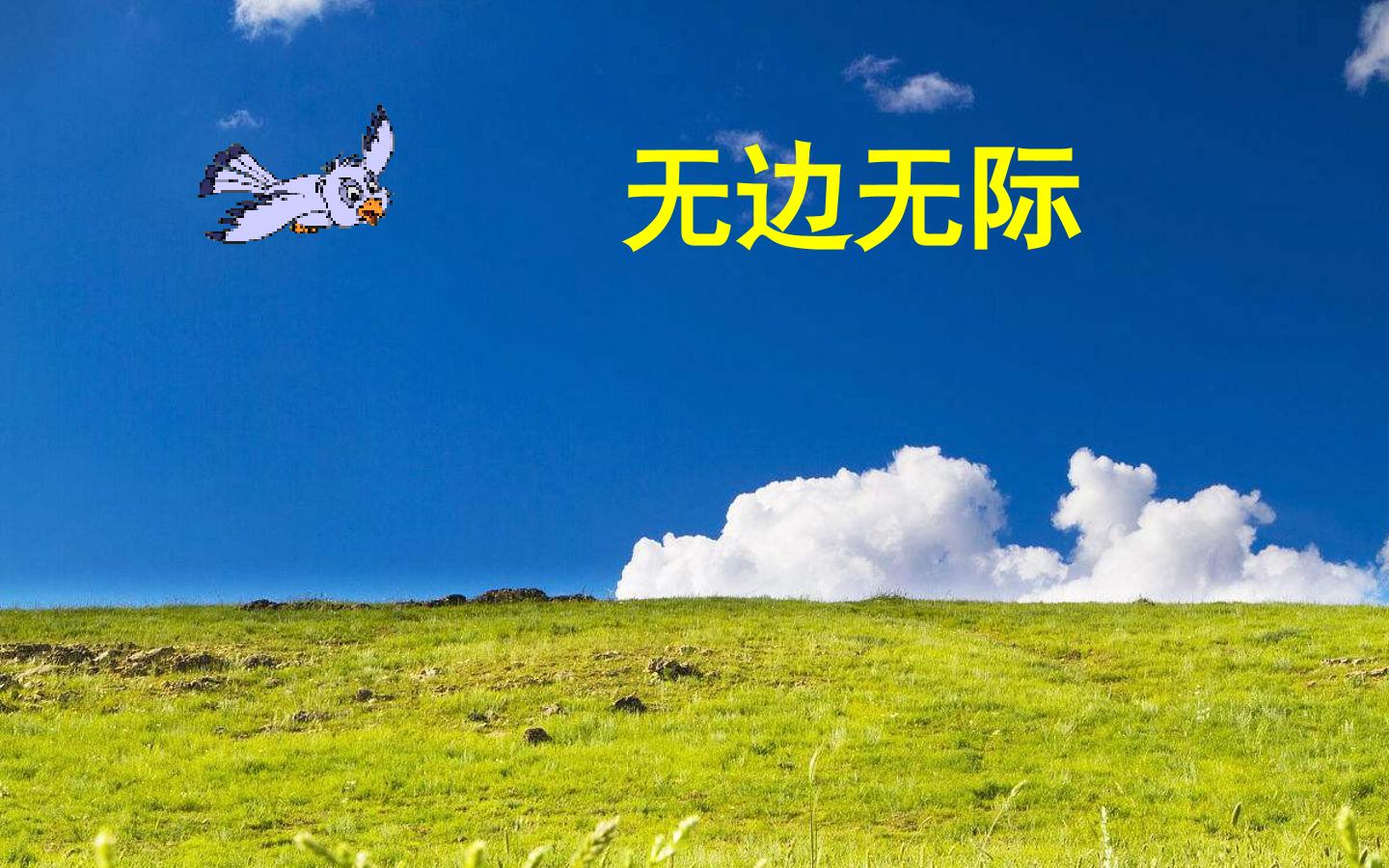 17.jpg