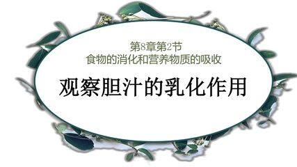 观察胆汁的乳化作用