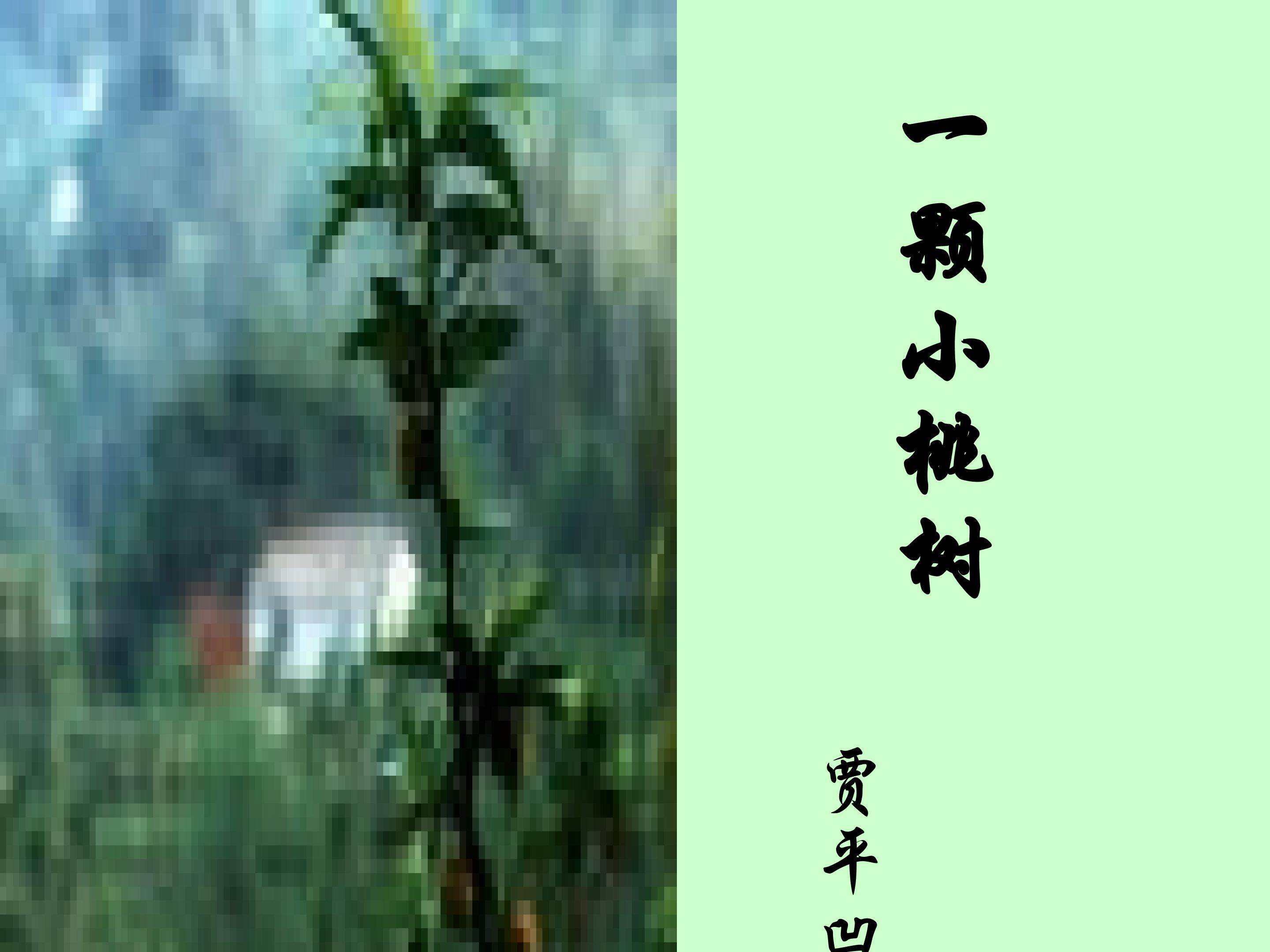 《一棵小桃树》