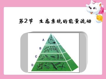 生物高中必修3第五章第二节课件8
