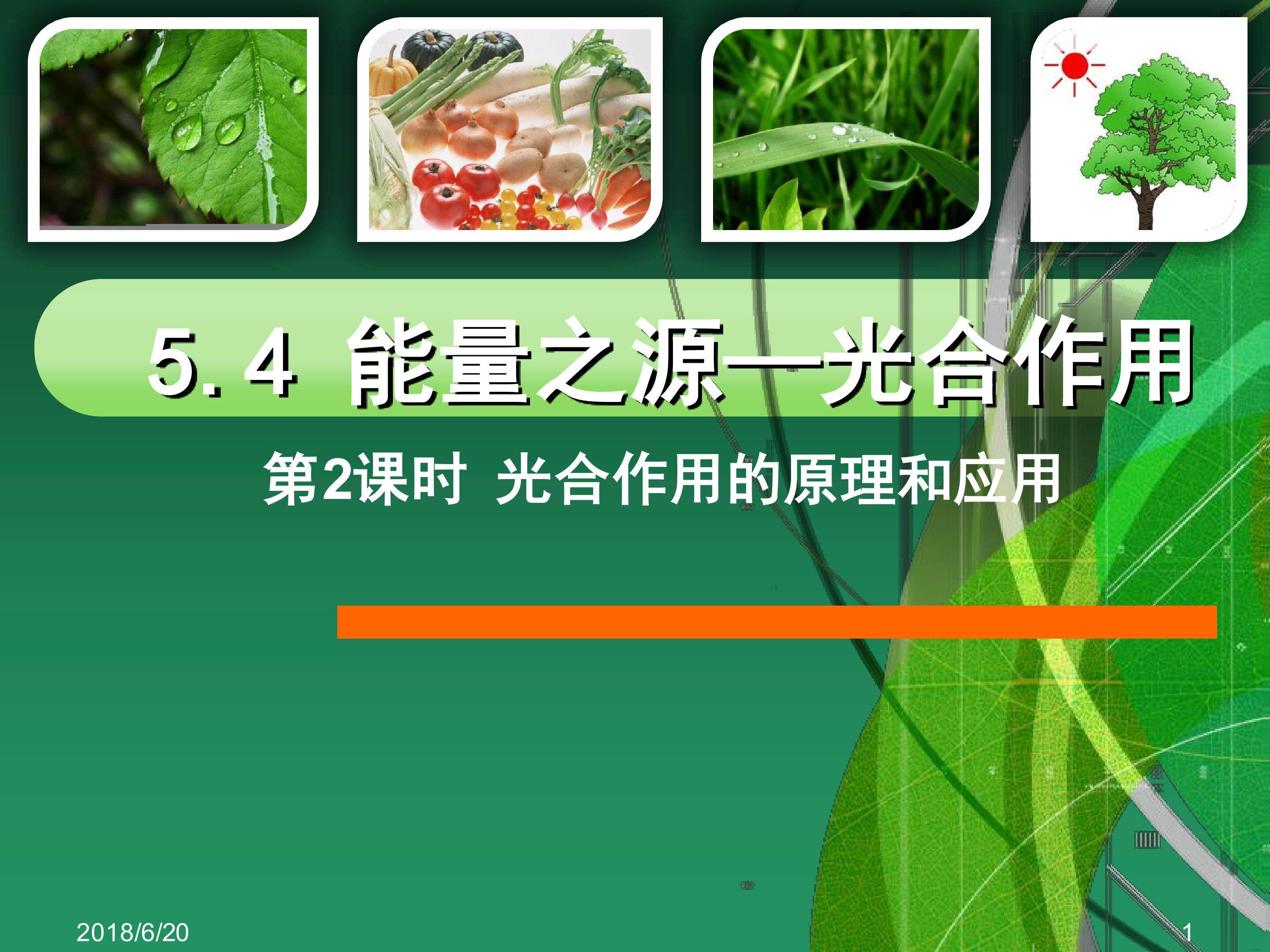 光合作用的原理和应用