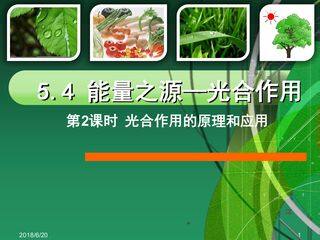 光合作用的原理和应用