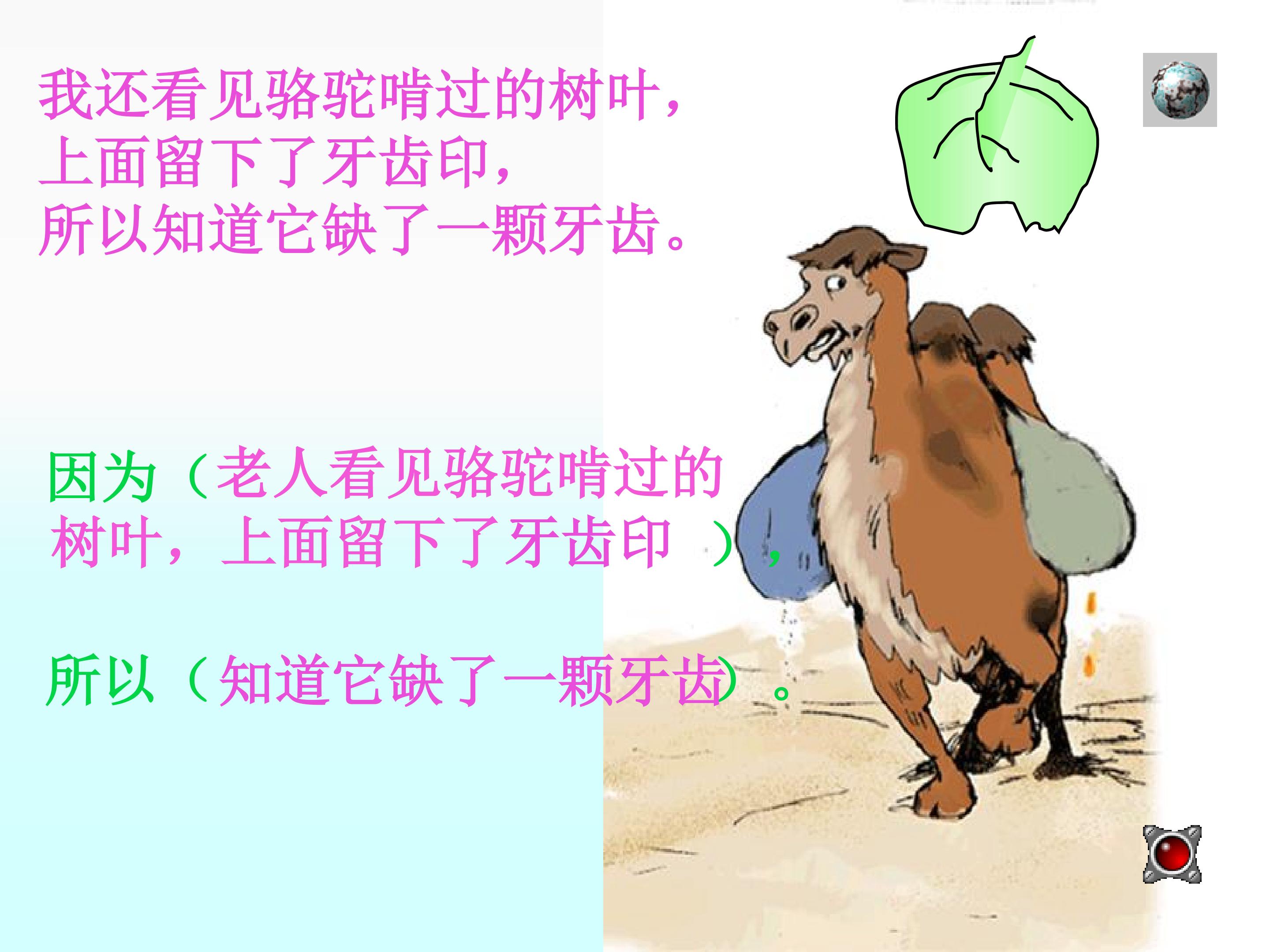 14.jpg