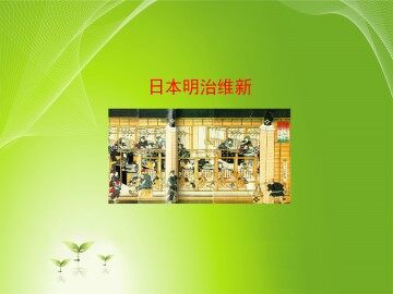 俄国农奴制的废除_课件1