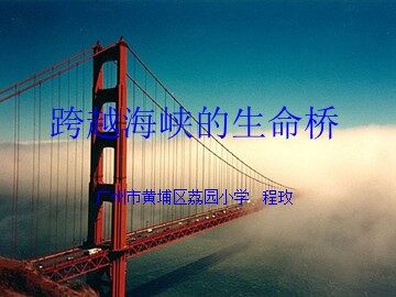 6.《跨越海峡的生命桥》第二课时教学课件