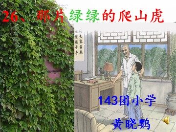 26 那片绿绿的爬山虎