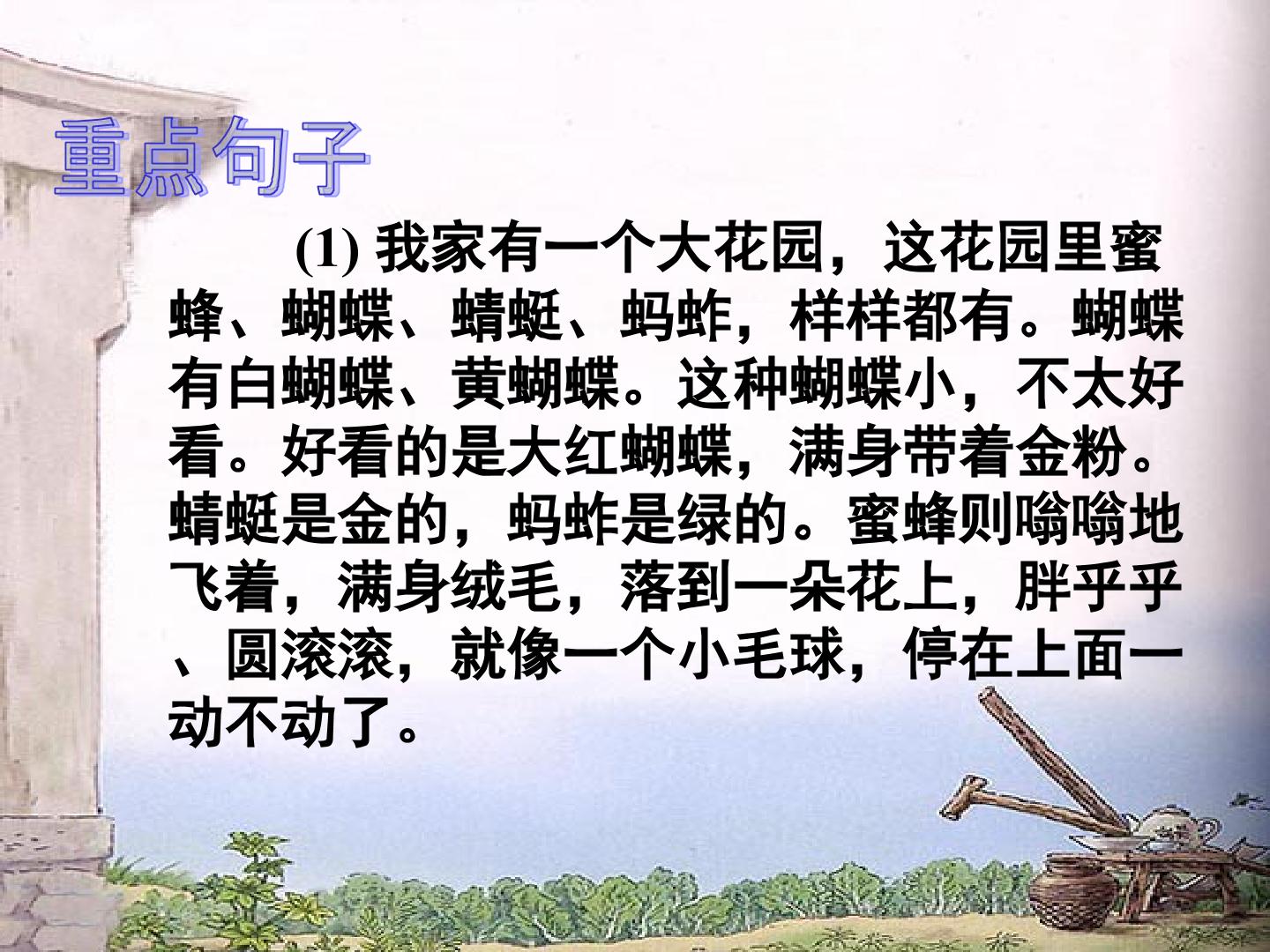 23.jpg