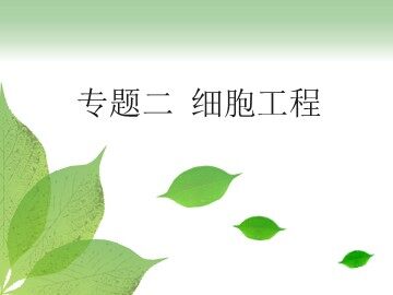 2.1　植物细胞工程