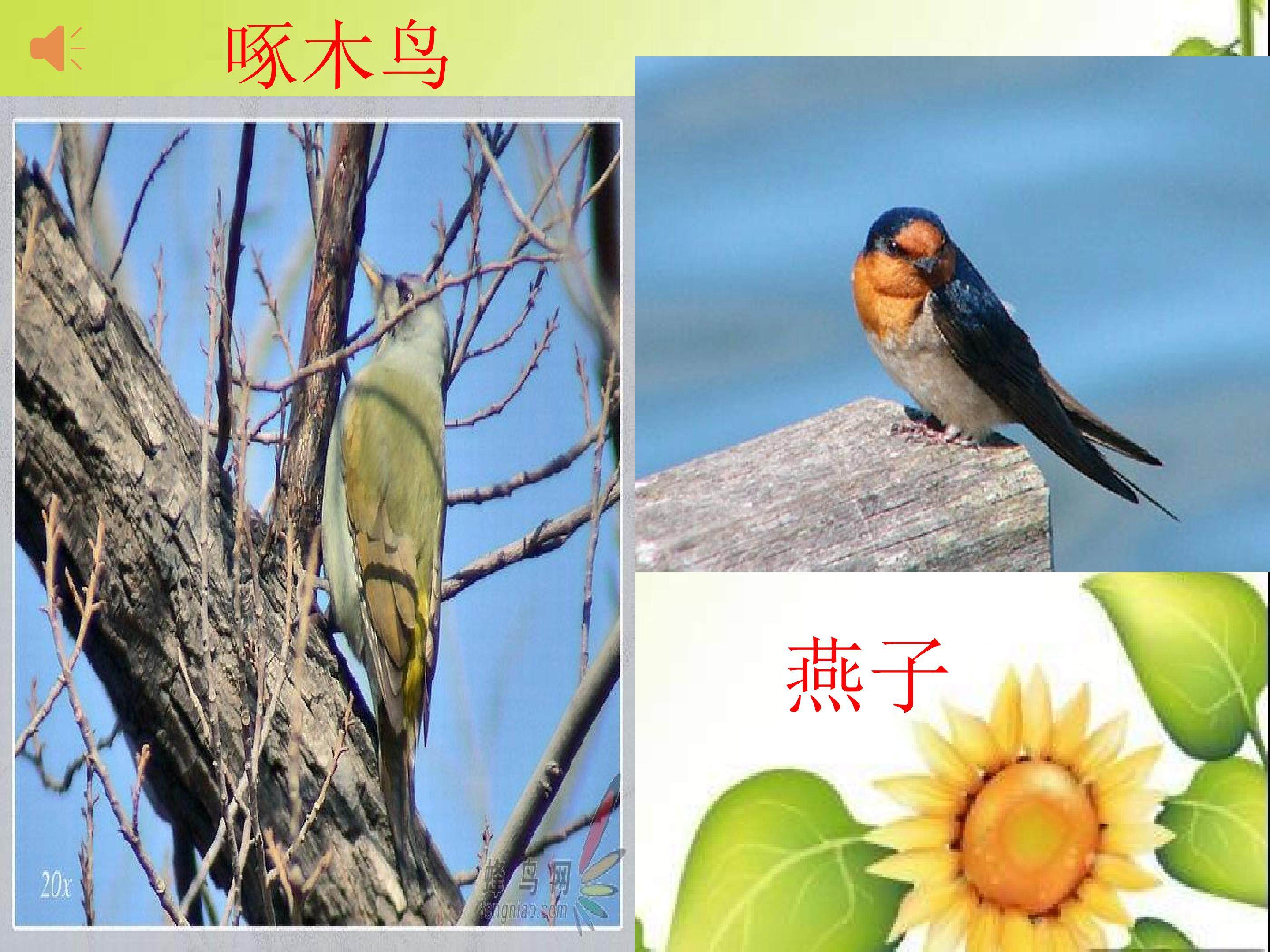 红领巾真好